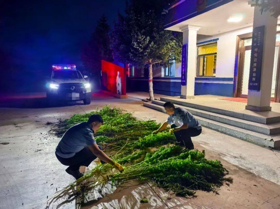 中国留学生因用手机拍照翻译遭拘押,中使馆紧急提醒!【新闻早知道】