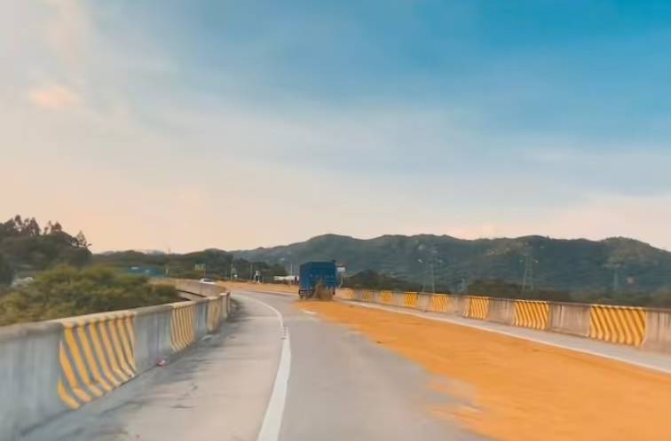 “经过的无一幸免!”多名车主在汕头一高速口附近遇黄色污物,洗车店主:店都臭了