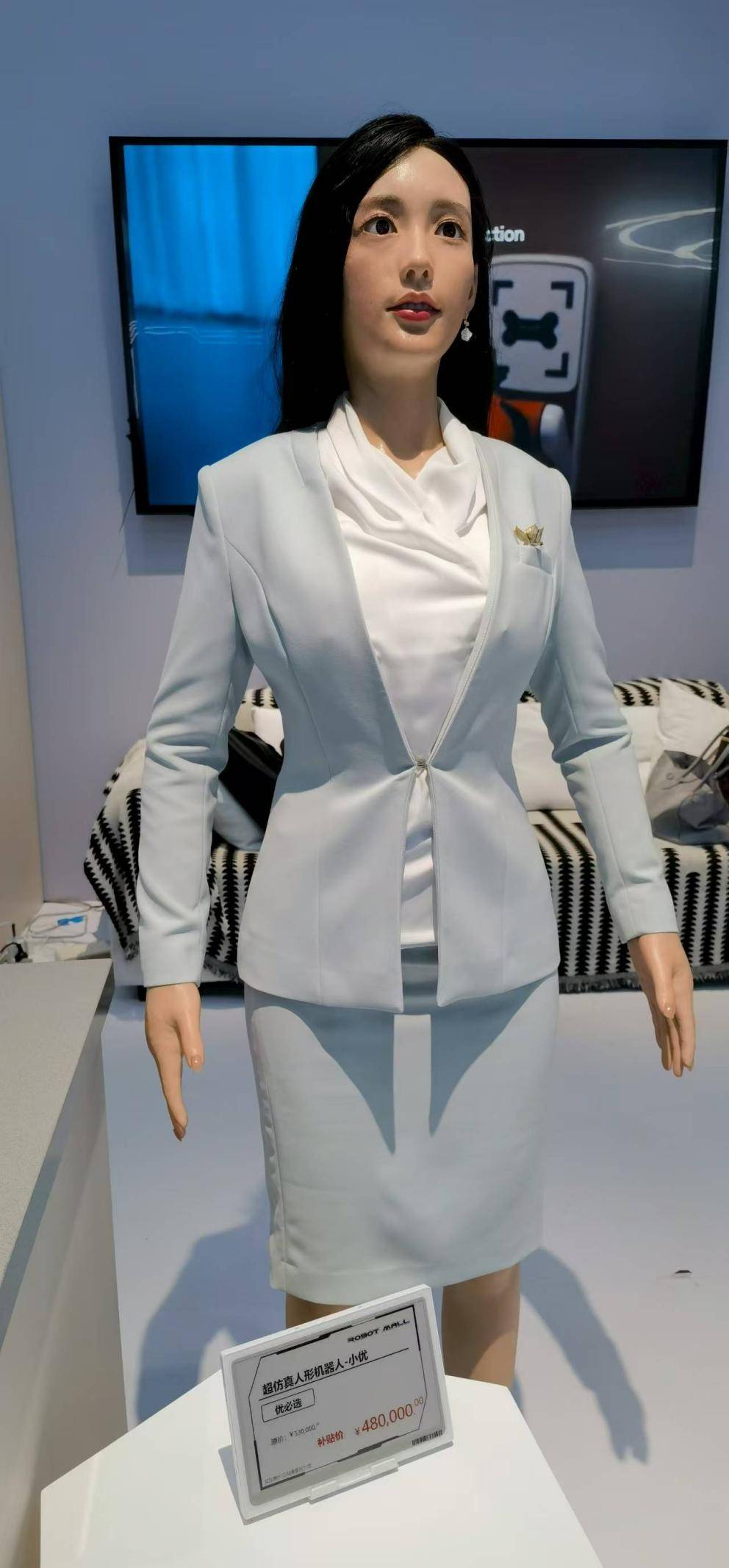 从 1299 元 “桌宠” 到百万 “人形管家”:消费级机器人摆上货架,谁在真买单?