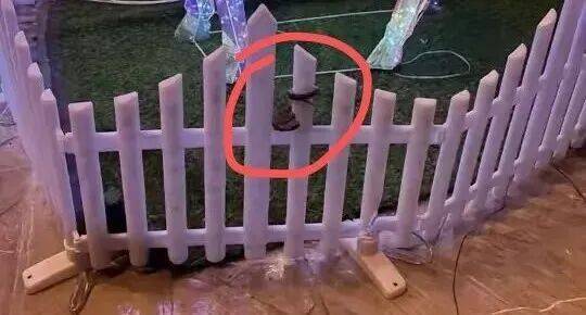 酒店大堂发现剧毒蛇,小孩以为是假蛇还摸了蛇头,涉事酒店回应:已放生,酒店增设驱蛇装置