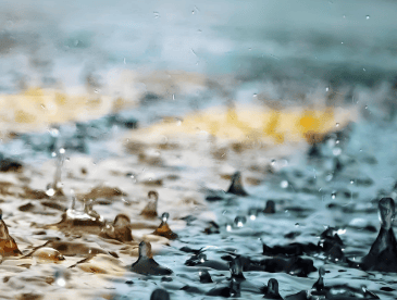 晴雨交替，气温适宜