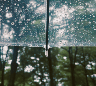晴雨交替，气温适宜