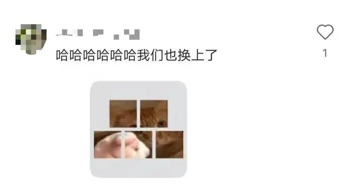 微信又偷偷更新了!网友:再也不怕发错群了