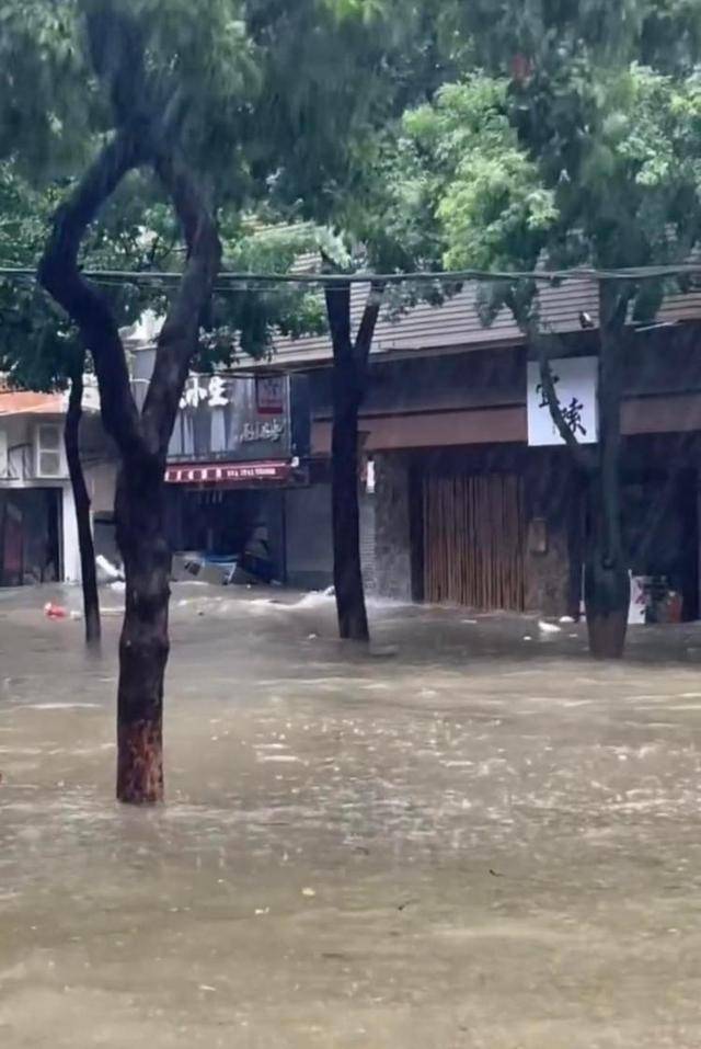 珠海一司机台风天驾车造浪冲碎店铺玻璃 警方:已传唤司机