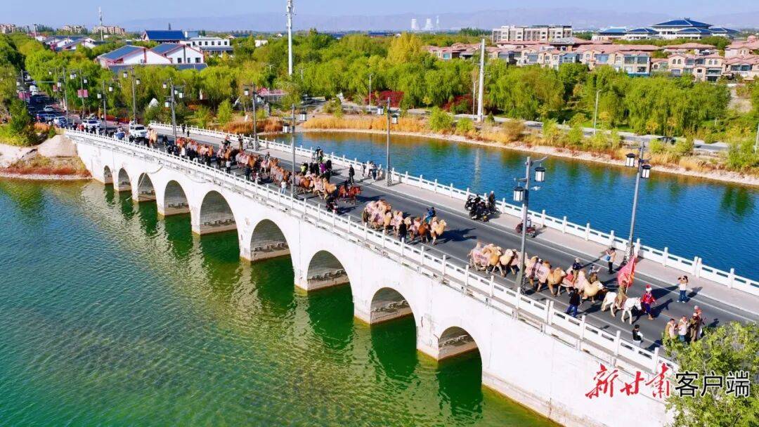 张掖甘州区：悠悠驼铃话丝路