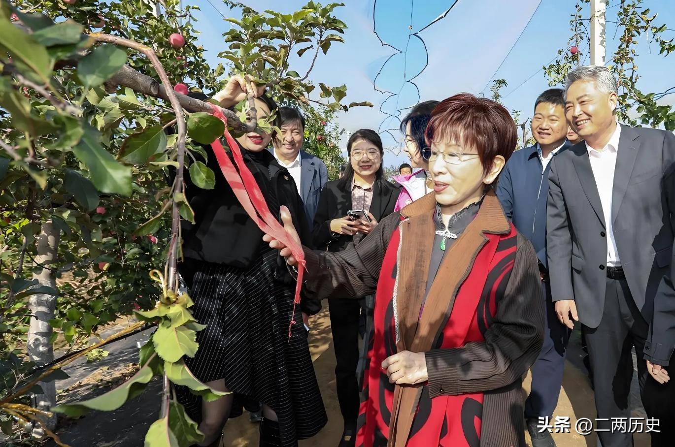 郑丽文人间清醒:如果去大陆,能见到谁不重要,重要的是代表谁去