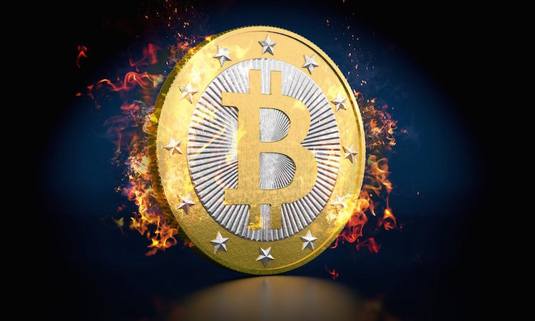 收币网(收币网站)