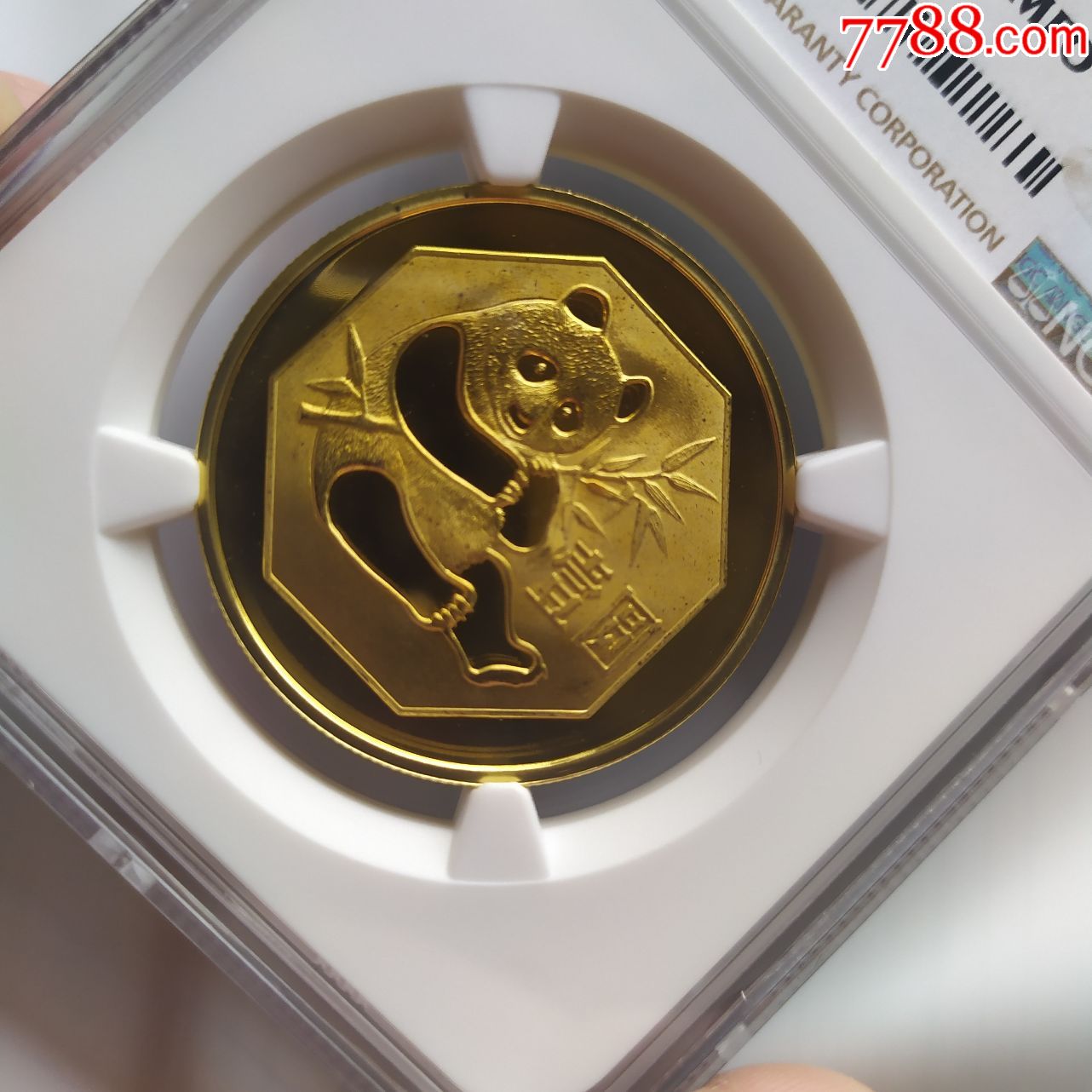 猫币多少钱一个(1猫币多少人民币)