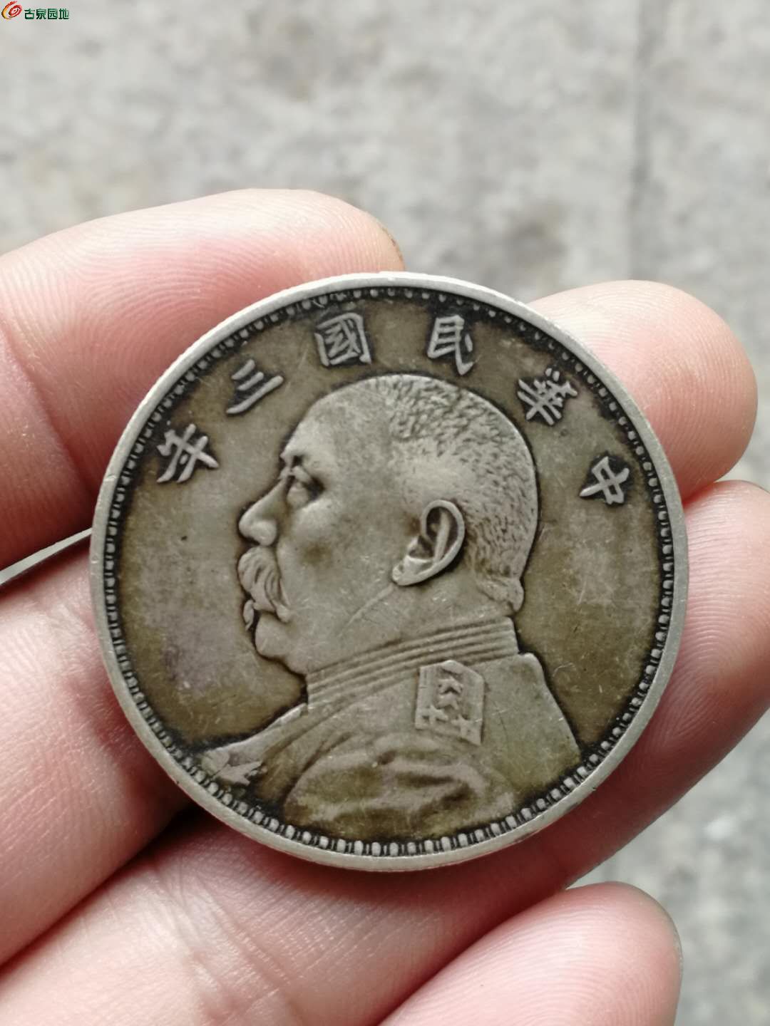 大头币的价格(大头币现在值多少钱)