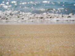 沙币图片(沙币图片大全)