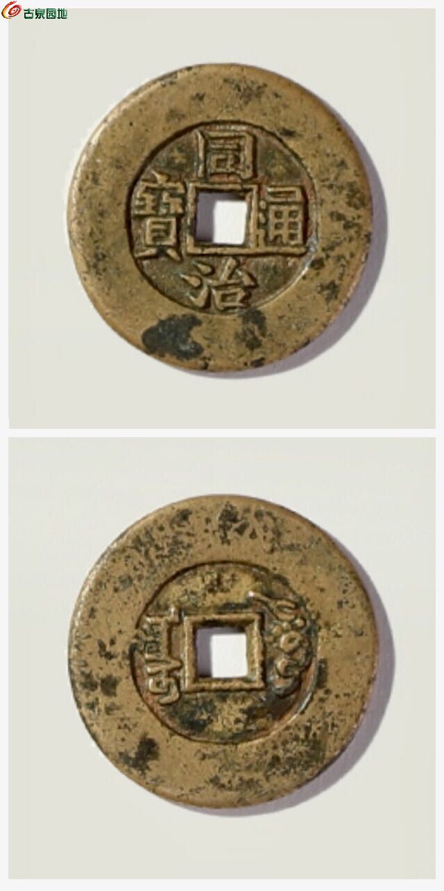 明币(明血小说免费阅读)