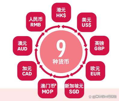 盈币(盈币支付平台)