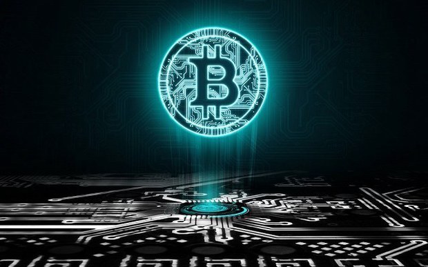 网客币(网课变身) 网客币(网课变身)