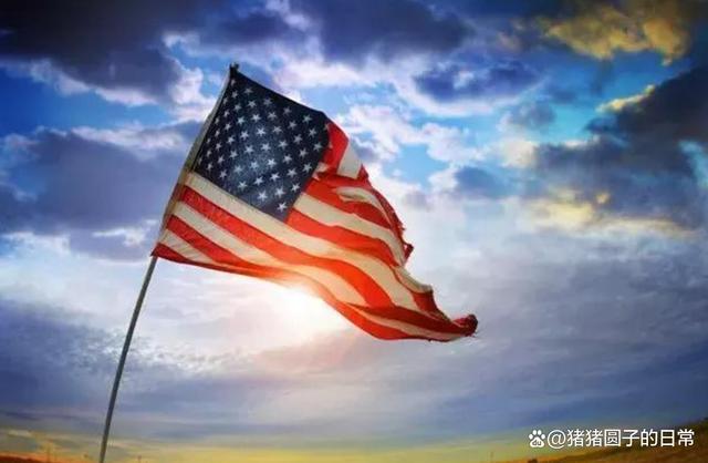 卡特币(卡特币项目) 卡特币(卡特币项目)