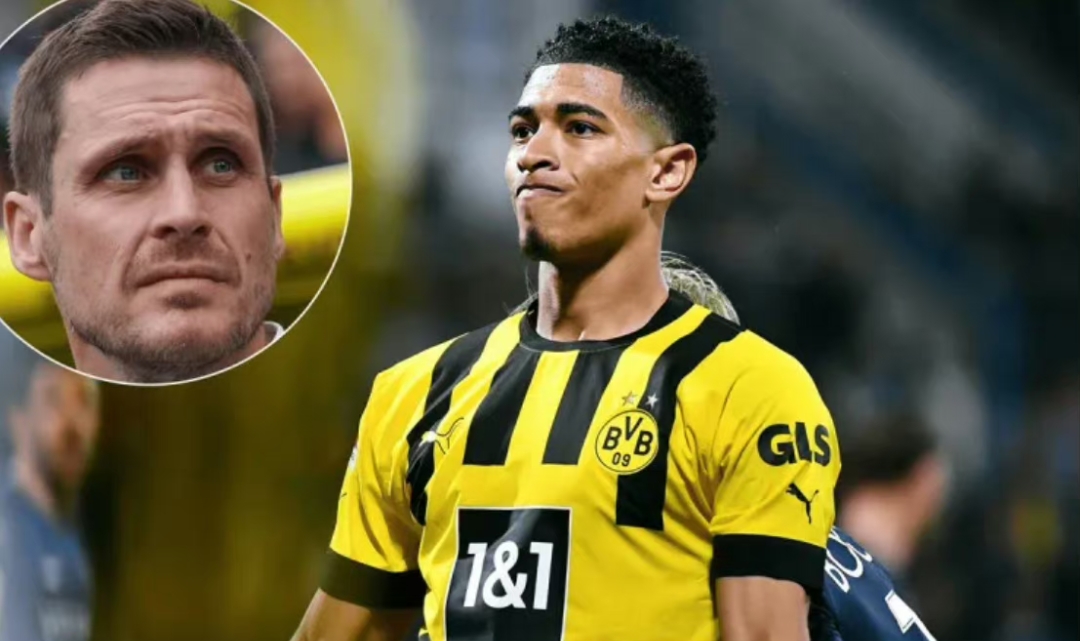 多特币价格(多特币什么时候上市交易)