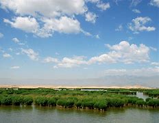 宁夏币(宁夏币价格行情)