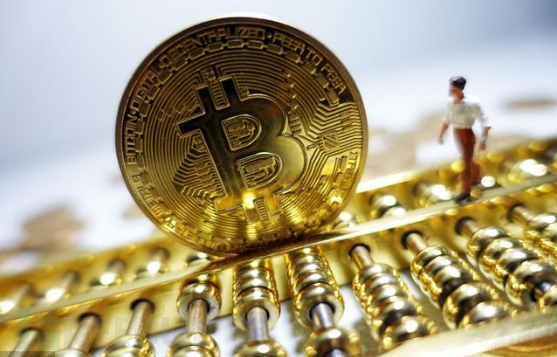 币币网(币币网最新版下载)