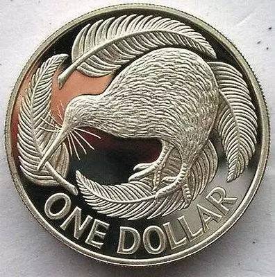 币加鸟(币加鸟怎么读音)