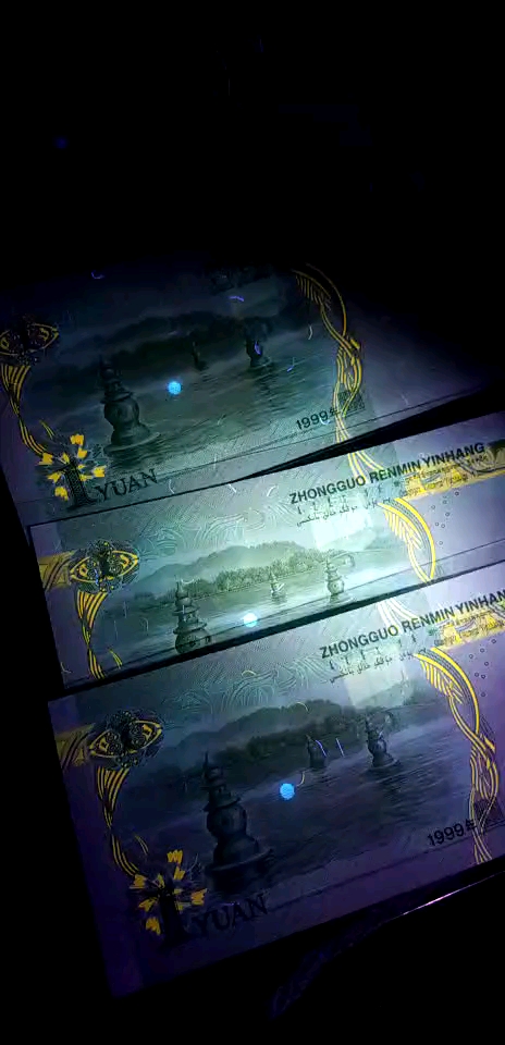 月亮币(雨中冒险2月亮币)