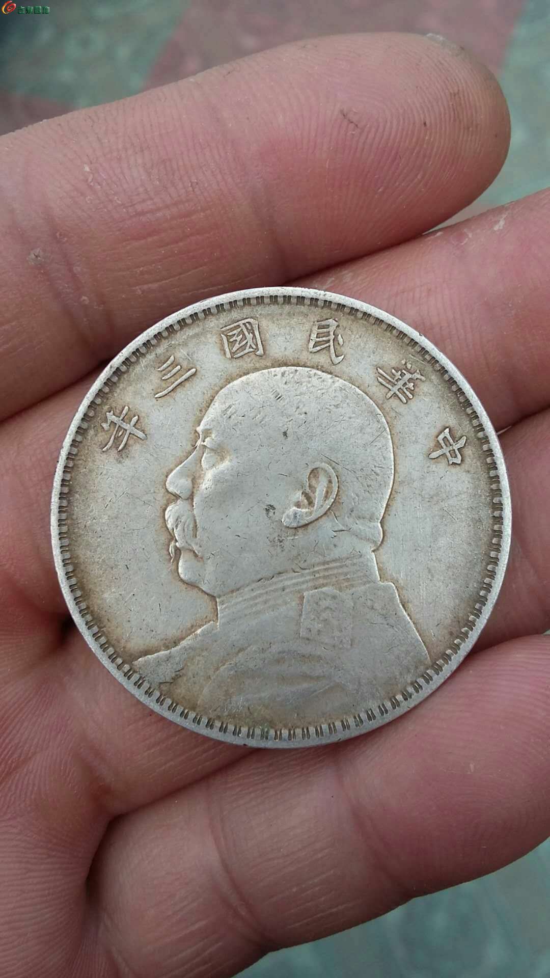 大头币(大头币是谁)