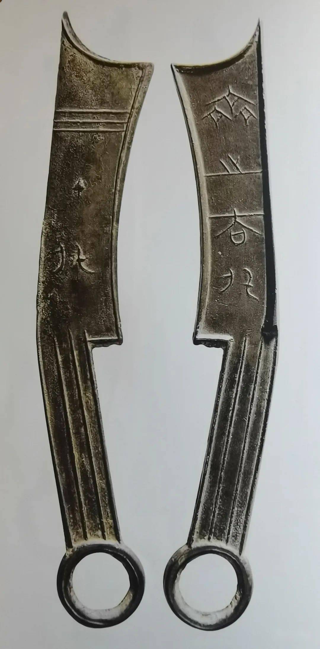 齐币(齐币怎么获得)